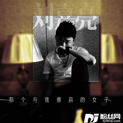 那个与我擦肩的女子的专辑