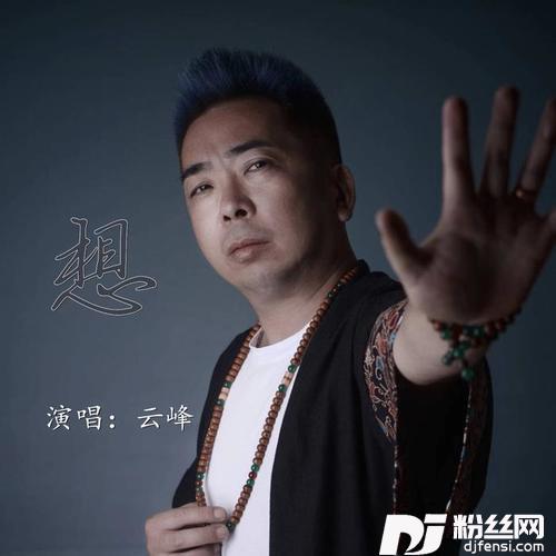 想DJ何鹏版
