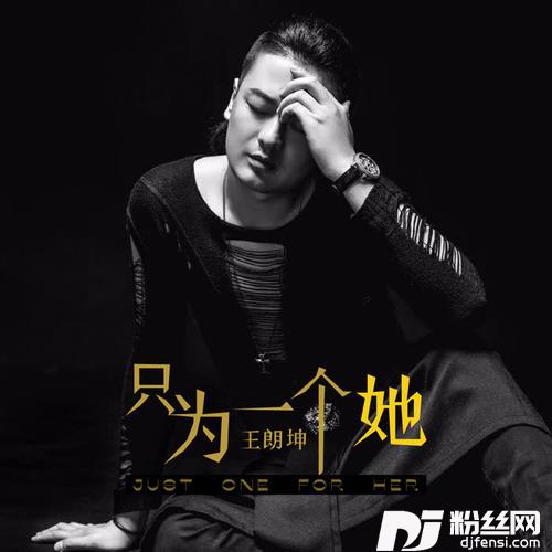只为一个她DJheap九天版的专辑
