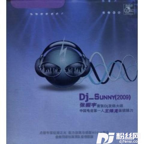 不要再来伤害我DJ版