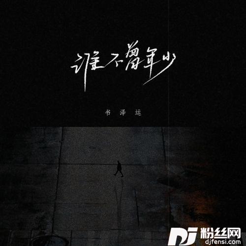 谁不曾年少的专辑