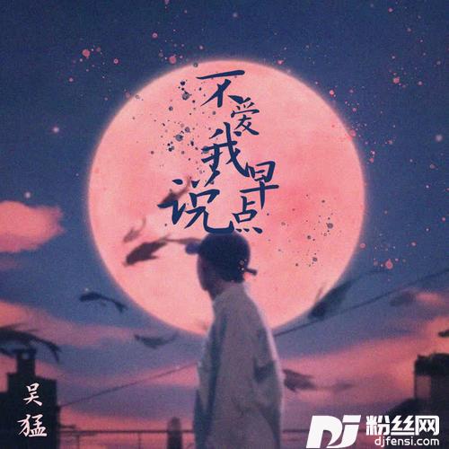 不爱我早点说DJ可乐版