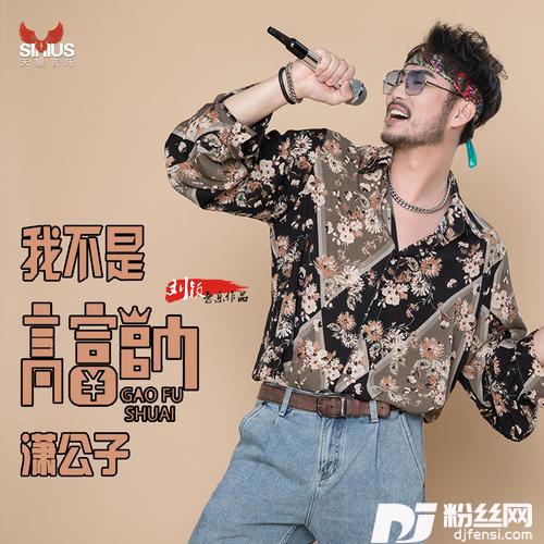 我不是高富帅的专辑