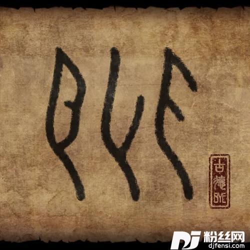 绝缘体的专辑