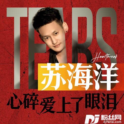 心碎爱上了眼泪DJ京仔版