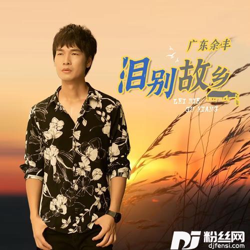 泪别故乡DJ大金版