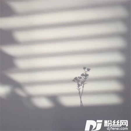 旋律RiseAndFallRemix的专辑