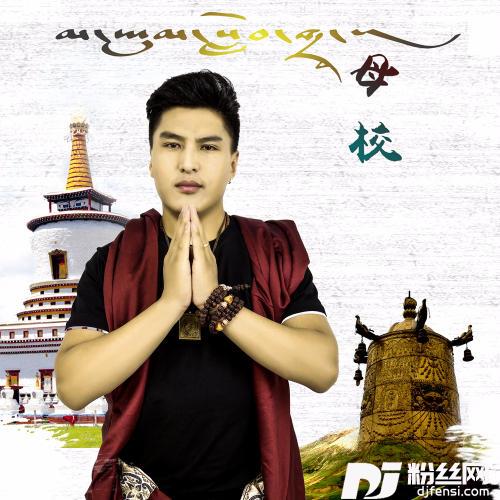 怀梦的群鸟的专辑