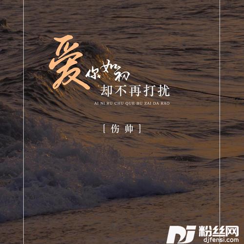 爱你如初却不再打扰