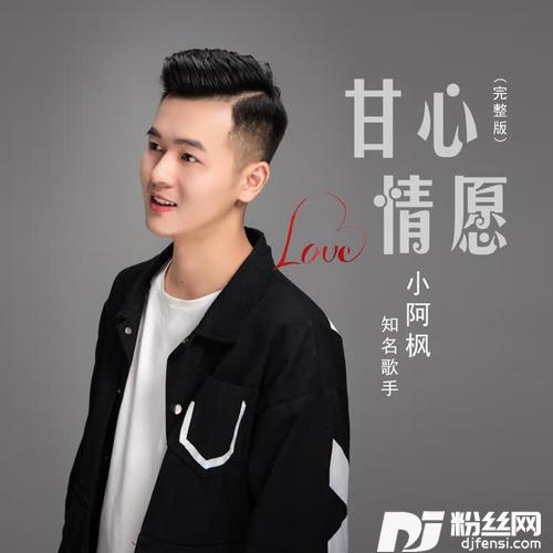 甘心情愿的专辑