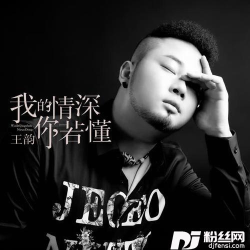 我的情深你若懂的专辑