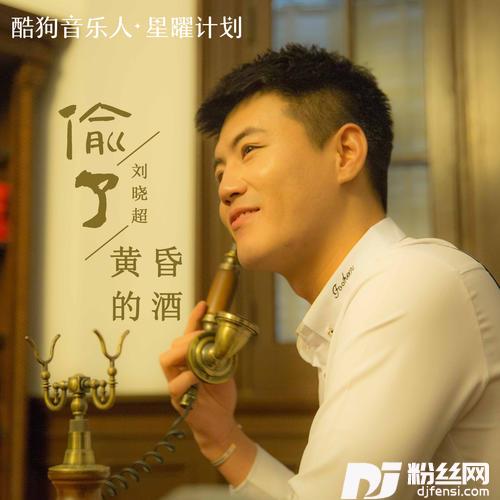 偷了黄昏的酒DJ默涵版