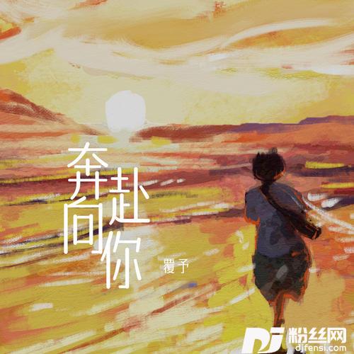 奔赴向你