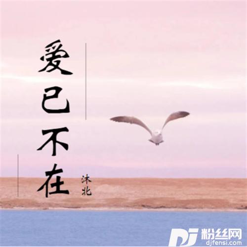 爱已不在的专辑
