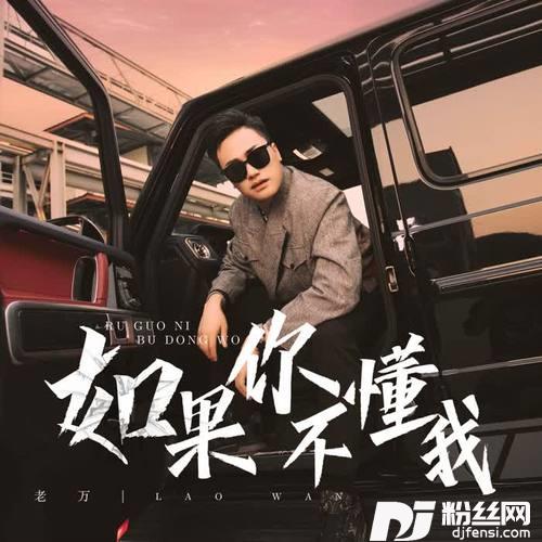 如果你不懂我DJheap九天版的专辑