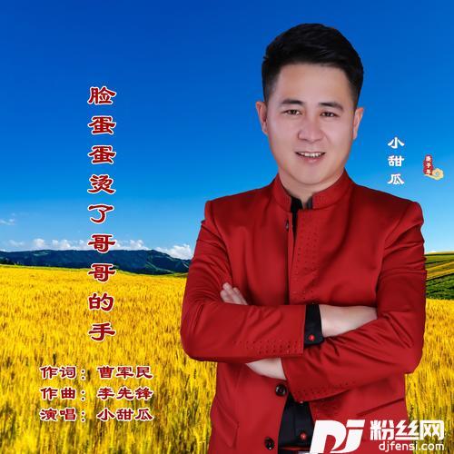 脸蛋蛋烫了哥哥的手爱艺乐柒DJRemix的专辑