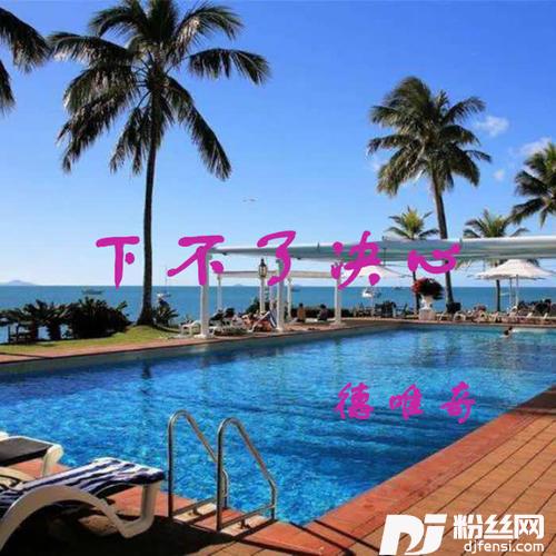 下不了决心DJ版
