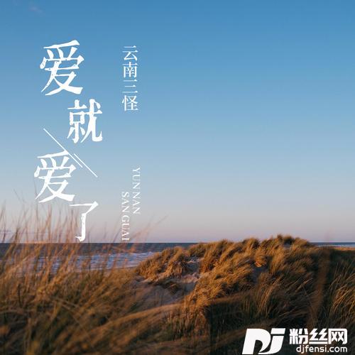 爱就爱了