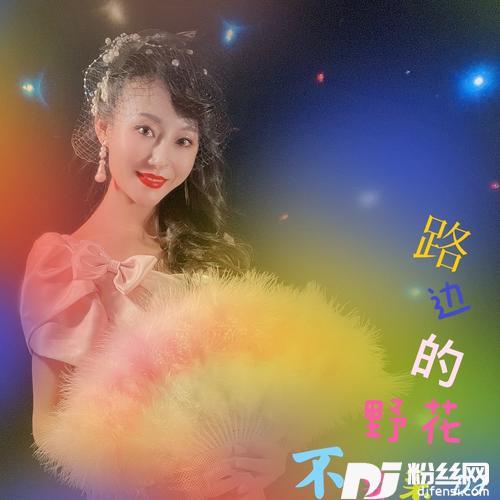 路边的野花不要采remix:邓丽君