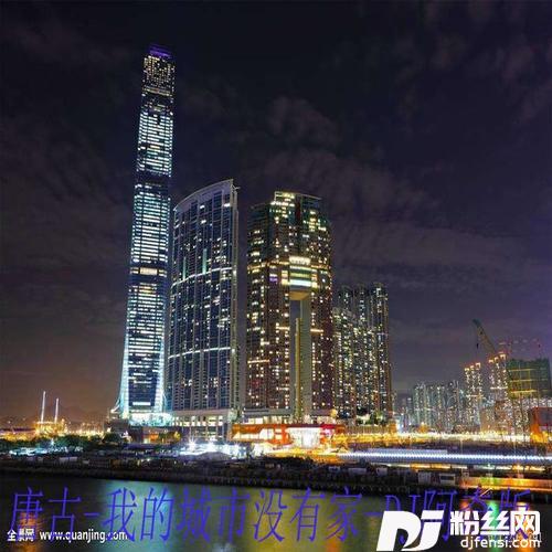 我的城市没有家DJ阿奇版