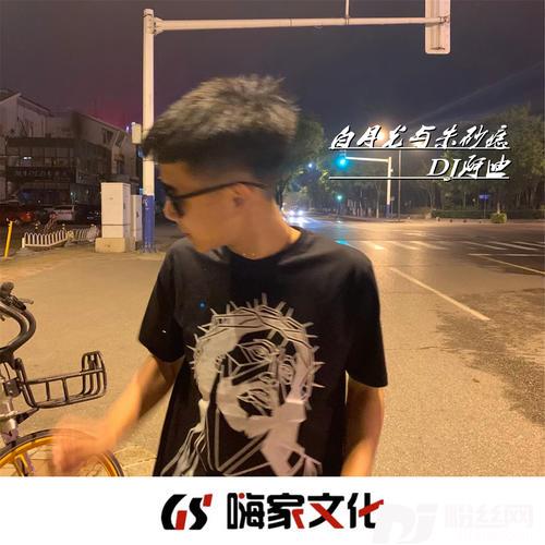 白月光与朱砂痣抖音DJ版的专辑