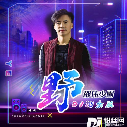 野DJ沈念版