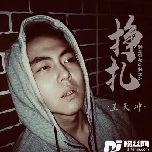 挣扎的专辑