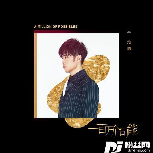一百万个可能