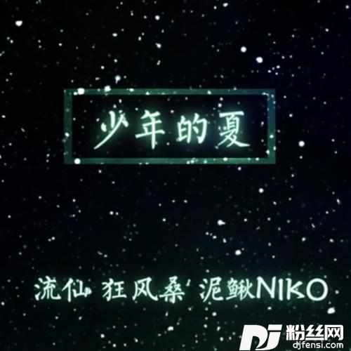 少年的夏