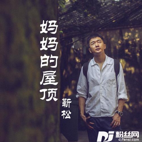二十年的专辑