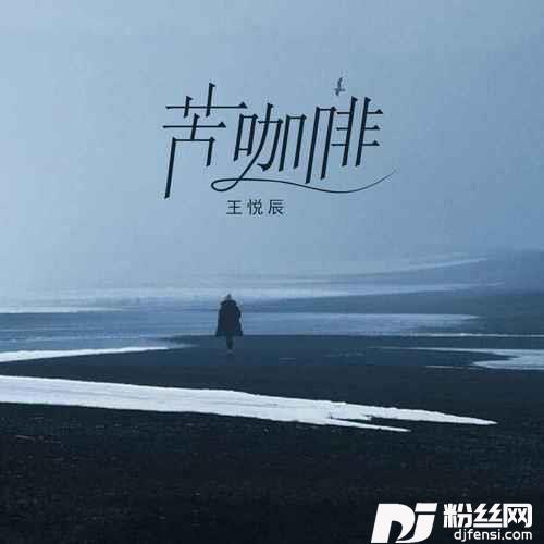 苦咖啡DJ完整版
