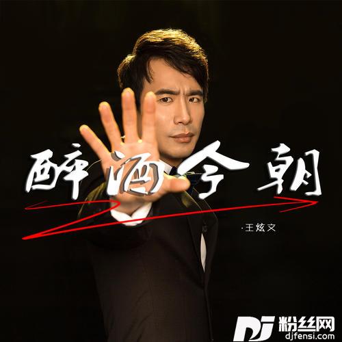 醉酒今朝DJ默涵版