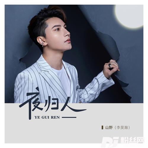 夜归人DJ默涵版