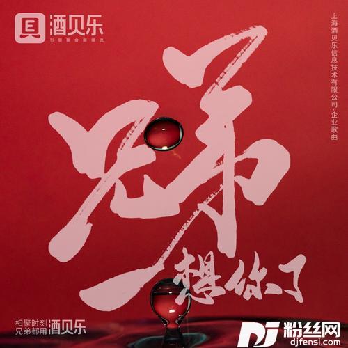 兄弟想你了的专辑