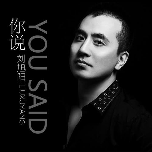 你说烟嗓版的专辑