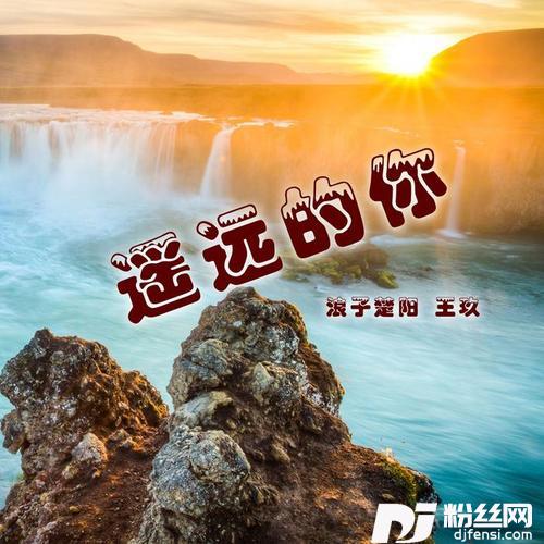 你是我撞的南墙