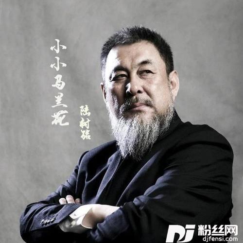 小小马兰花