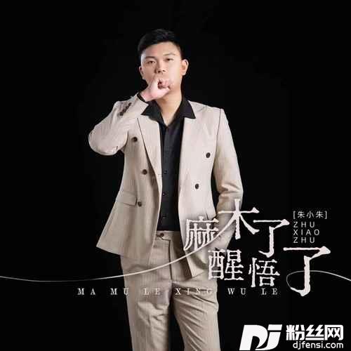 麻木了醒悟了的专辑