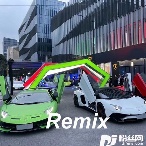 一个人想着一个人周政remix的专辑