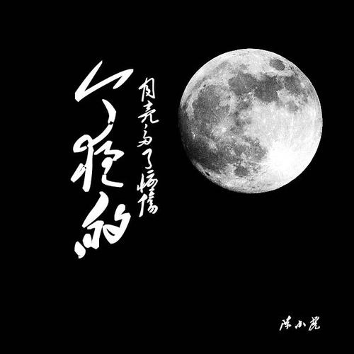 今夜的月亮多了忧伤的专辑