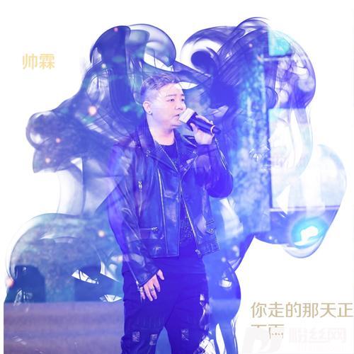 你走的那天正下雨（DJ刘羽彬版）的专辑
