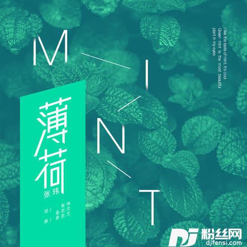薄荷的专辑