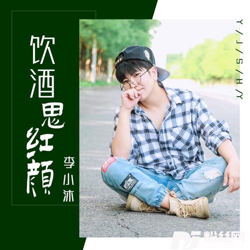 饮酒思红颜DJ沈念版