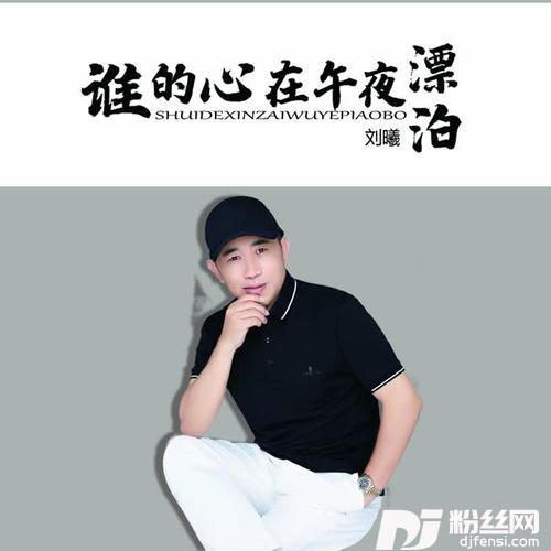 谁的心在午夜漂泊