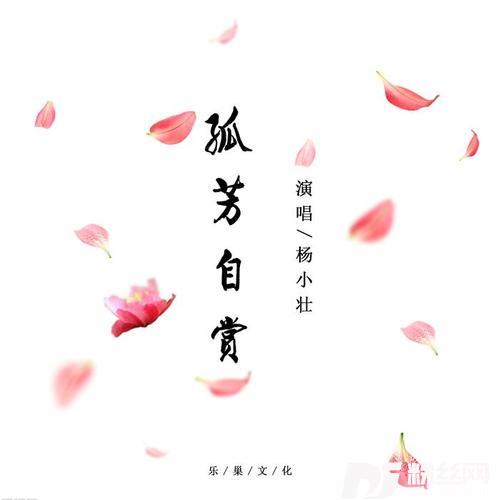 孤芳自赏的专辑
