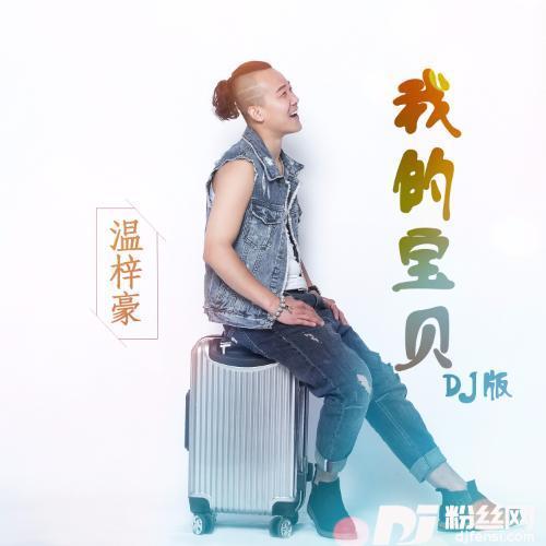 我的宝贝（DJ何鹏版）