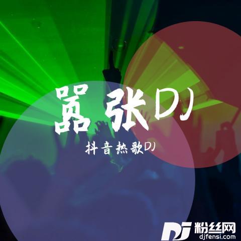 嚣张DJ版的专辑