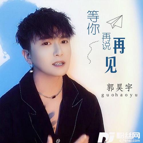 等你再说再见DJ沈念版的专辑