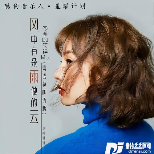 风中有朵雨做的云DJ版remix:莫叫姐姐