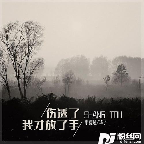伤透了我才放了手的专辑